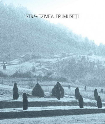 Stravezimea frumusetii de Paul Gherasim